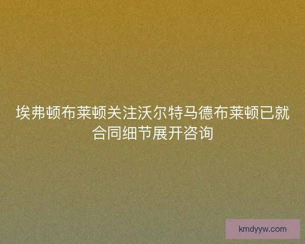 埃弗顿布莱顿关注沃尔特马德布莱顿已就合同细节展开咨询 埃弗顿布莱顿关注沃尔特马德布莱顿已就合同细节展开咨询